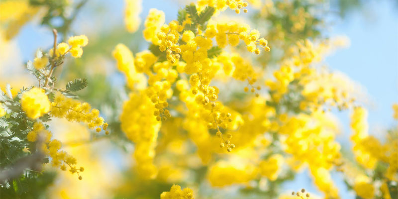 Mostra collettiva per la Giornata della Donna Mostra collettiva per la Giornata della Donna