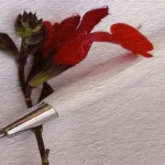 immagine descrittiva del 12° premio giotto