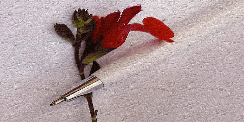 immagine descrittiva del 12° premio giotto